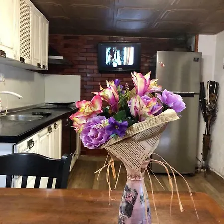 Tatil Evi Бургасский Дом *